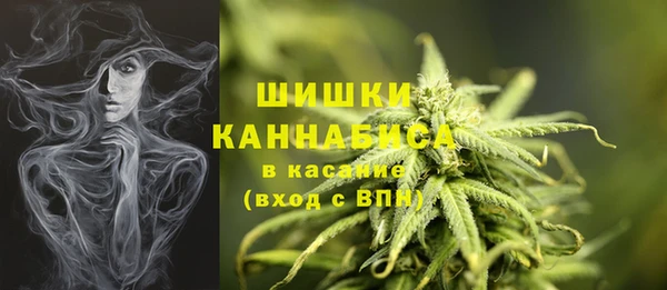 2c-b Белокуриха