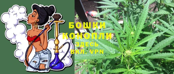2c-b Белокуриха
