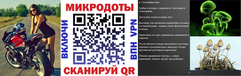Псилоцибиновые грибы Cubensis  Высоцк 