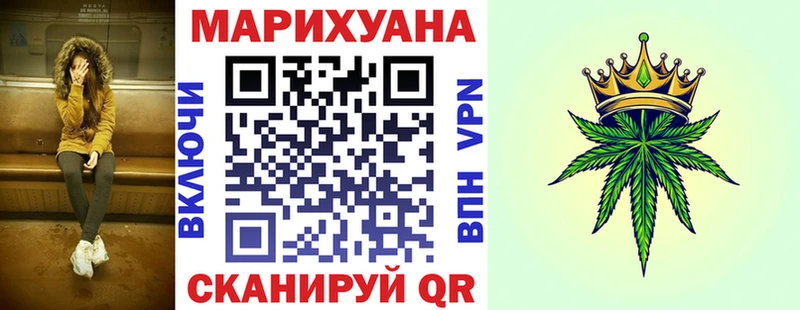 дарнет шоп  Высоцк  Канабис сатива 